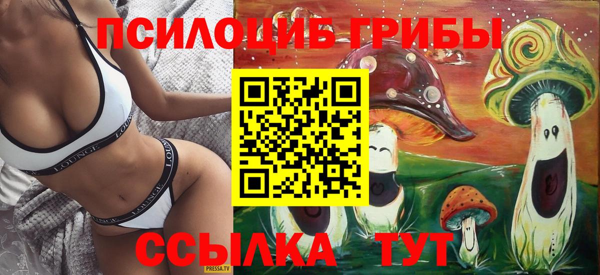 Псилоцибиновые грибы Cubensis  Псилоцибиновые грибы MAGIC MUSHROOMS  купить   Дмитров  Вход с VPN 